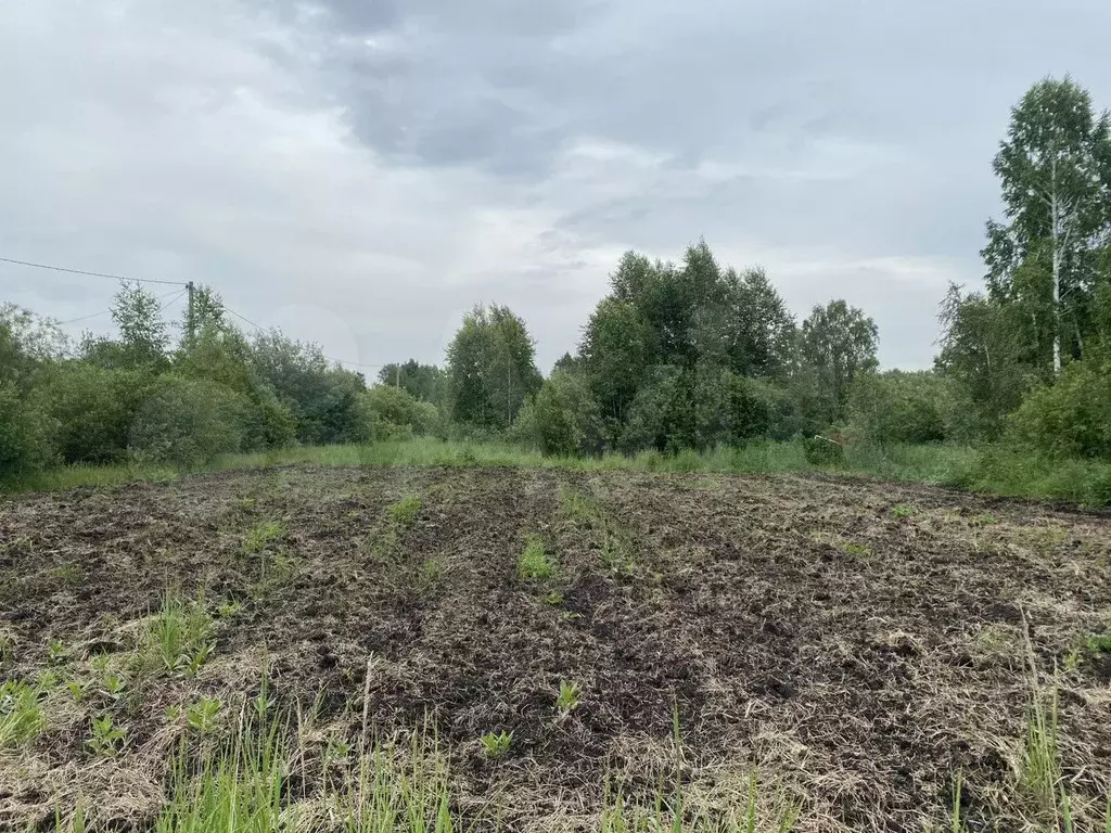 Участок 11,8 сот. (СНТ, ДНП) - Фото 0