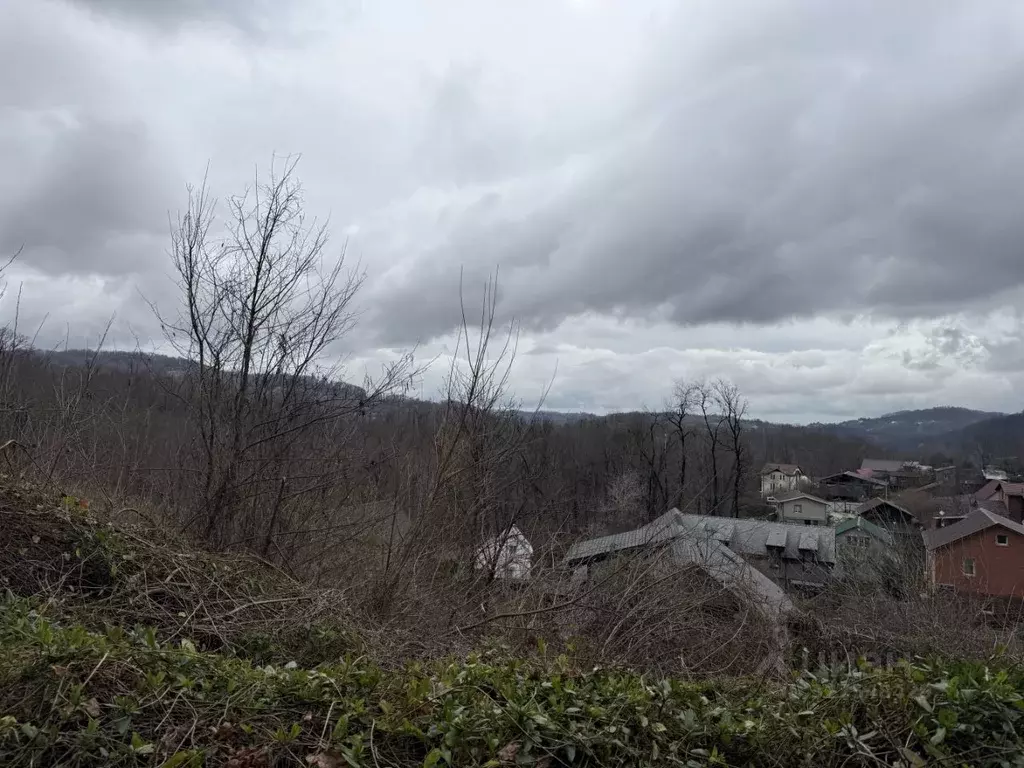 Участок в Краснодарский край, Сочи городской округ, с. ... - Фото 1