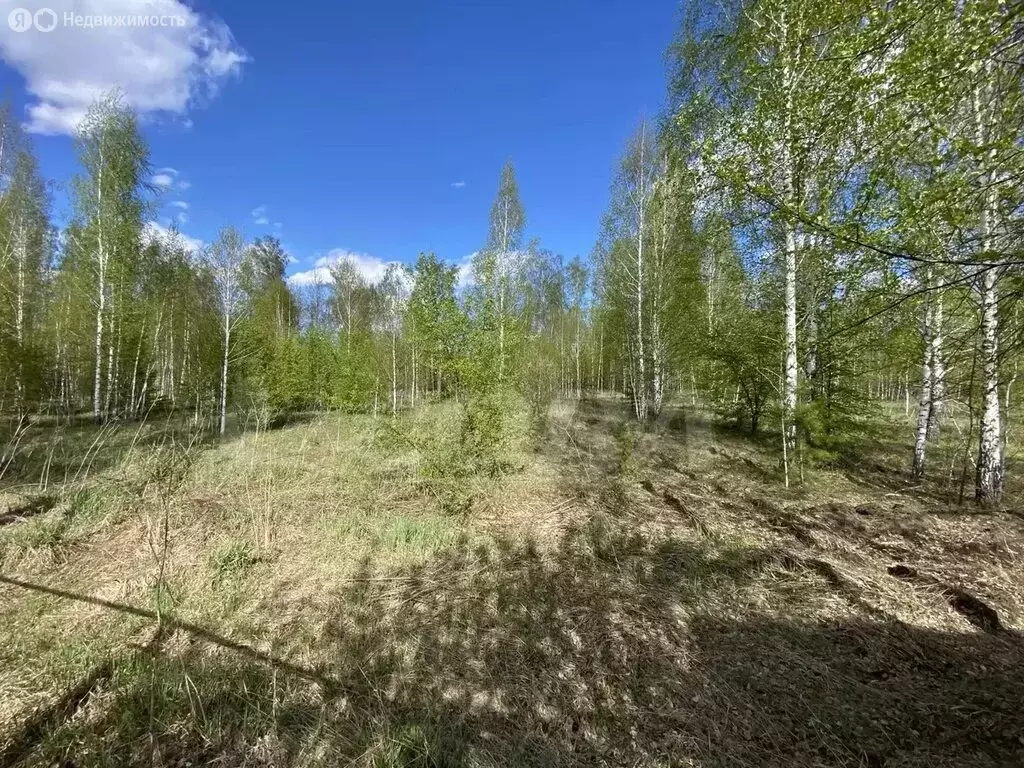 Участок в Тюменский муниципальный округ, СНТ Одуванчик (9.7 м) - Фото 1
