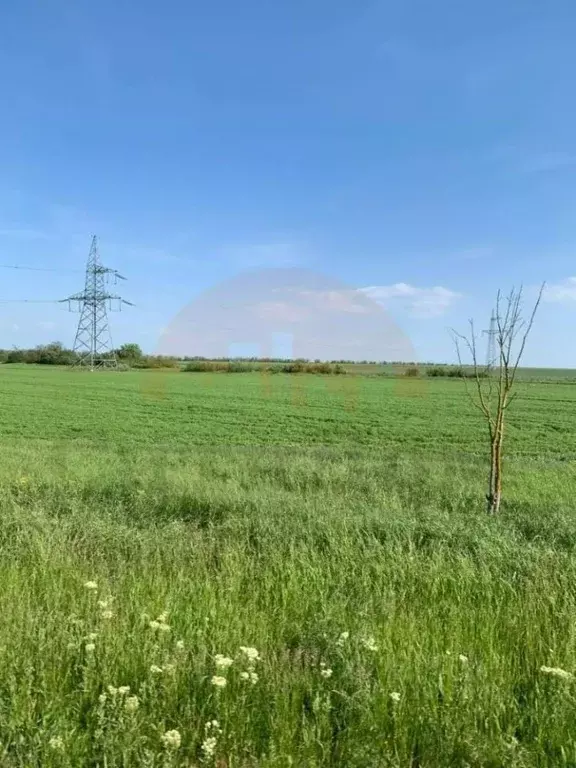 Участок в Крым, Сакский район, с. Лесновка ул. Садовая (6.27 сот.) - Фото 1