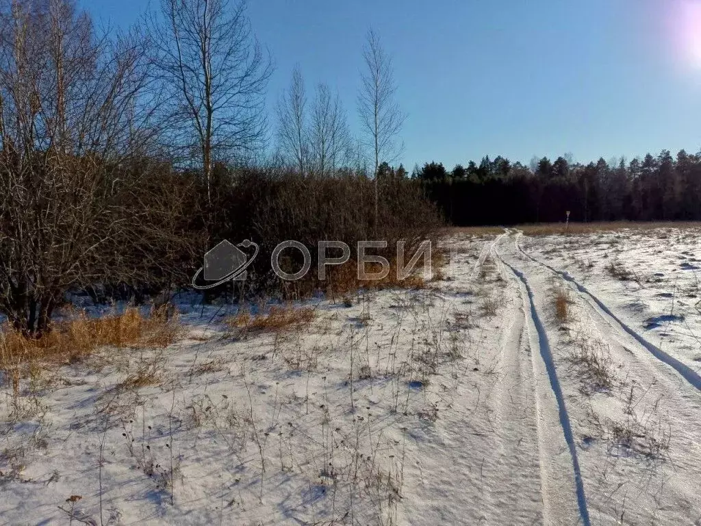 Участок в Тюменская область, Тюменский район, д. Елань 14 (5.75 сот.) - Фото 0