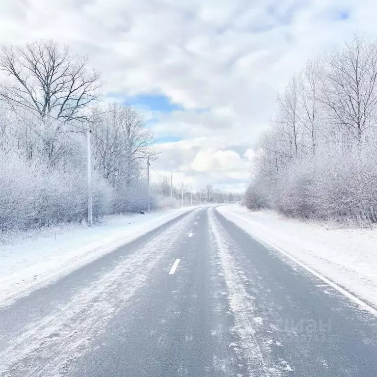 Дом в Псковская область, Островская волость, д. Городище ул. ... - Фото 1
