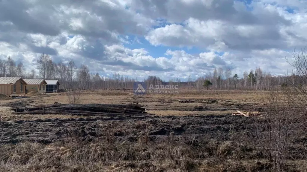 Участок в Тюменская область, Нижнетавдинский район, д. Штакульская  ... - Фото 0