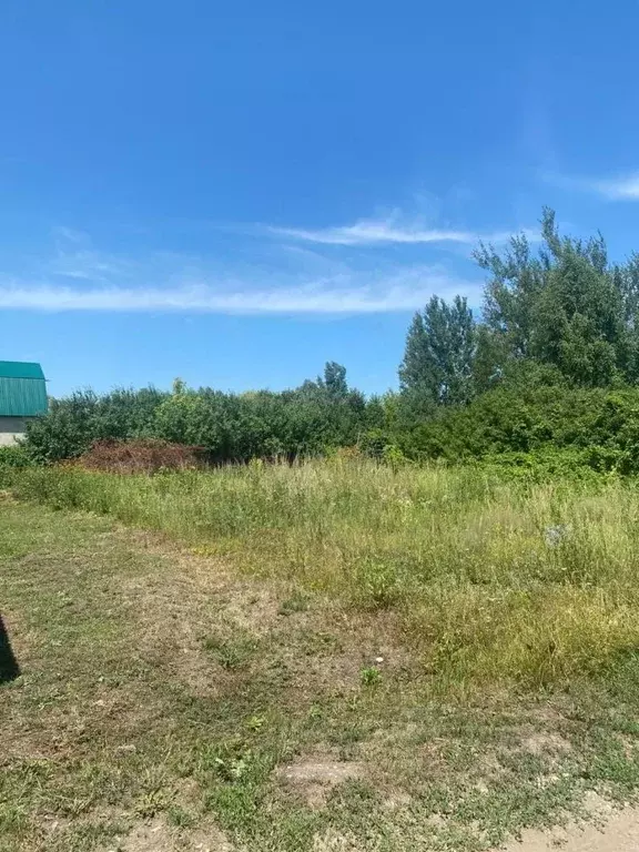 Участок в Тамбовская область, Знаменский муниципальный округ, Лесная ... - Фото 2