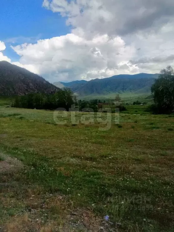 Участок в Алтай, Онгудайский район, Хабаровское с/пос, с. Улита  (45.0 ... - Фото 1