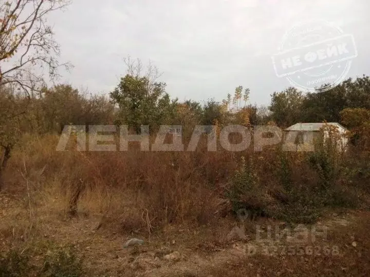 Участок в Ростовская область, Октябрьский район, пос. Персиановский, ... - Фото 1