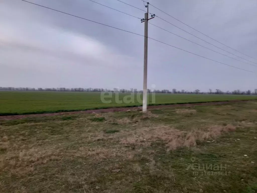 Участок в Крым, Феодосия городской округ, Приморский пгт ул. ... - Фото 1