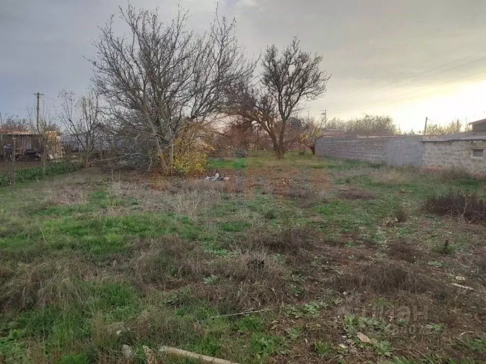 Участок в Крым, Сакский район, с. Орехово ул. Виноградная (5.39 сот.) - Фото 2