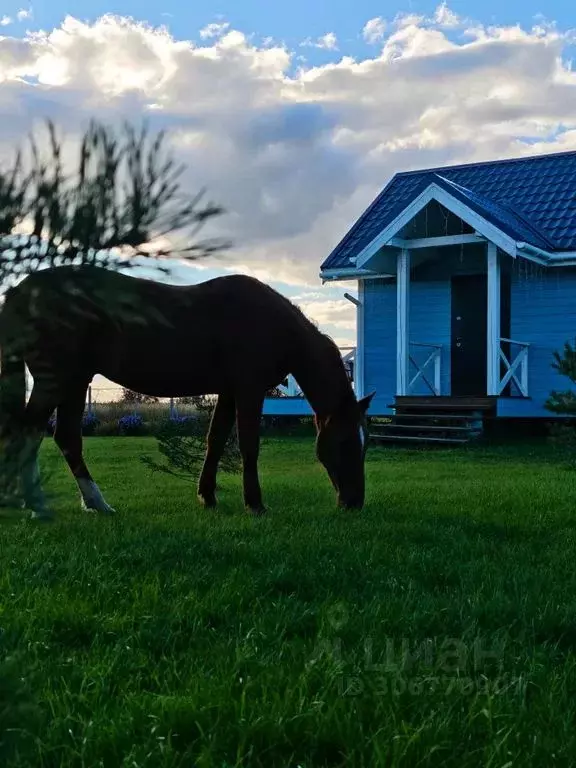 Дом в Владимирская область, Суздальский район, Селецкое муниципальное ... - Фото 1