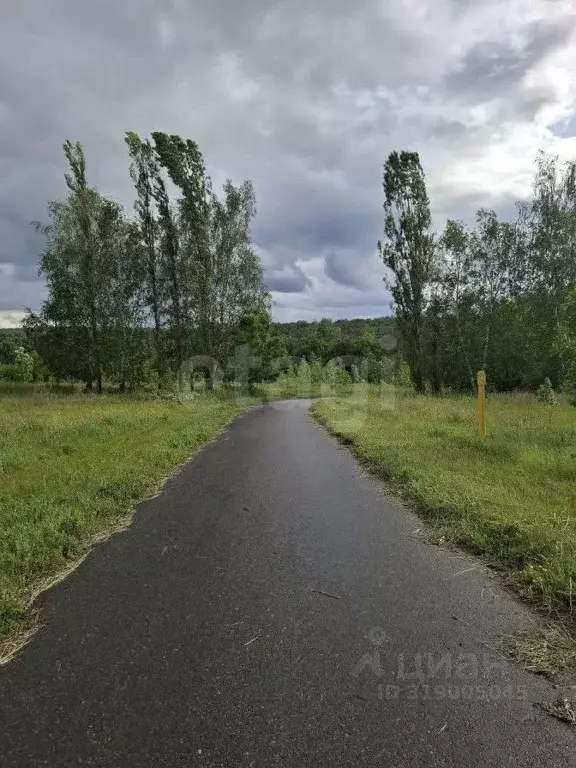 Участок в Белгородская область, Белгородский район, Ериковское с/пос, ... - Фото 1