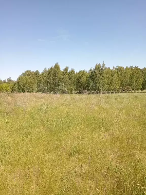 Участок 6 сот. (СНТ, ДНП) - Фото 0