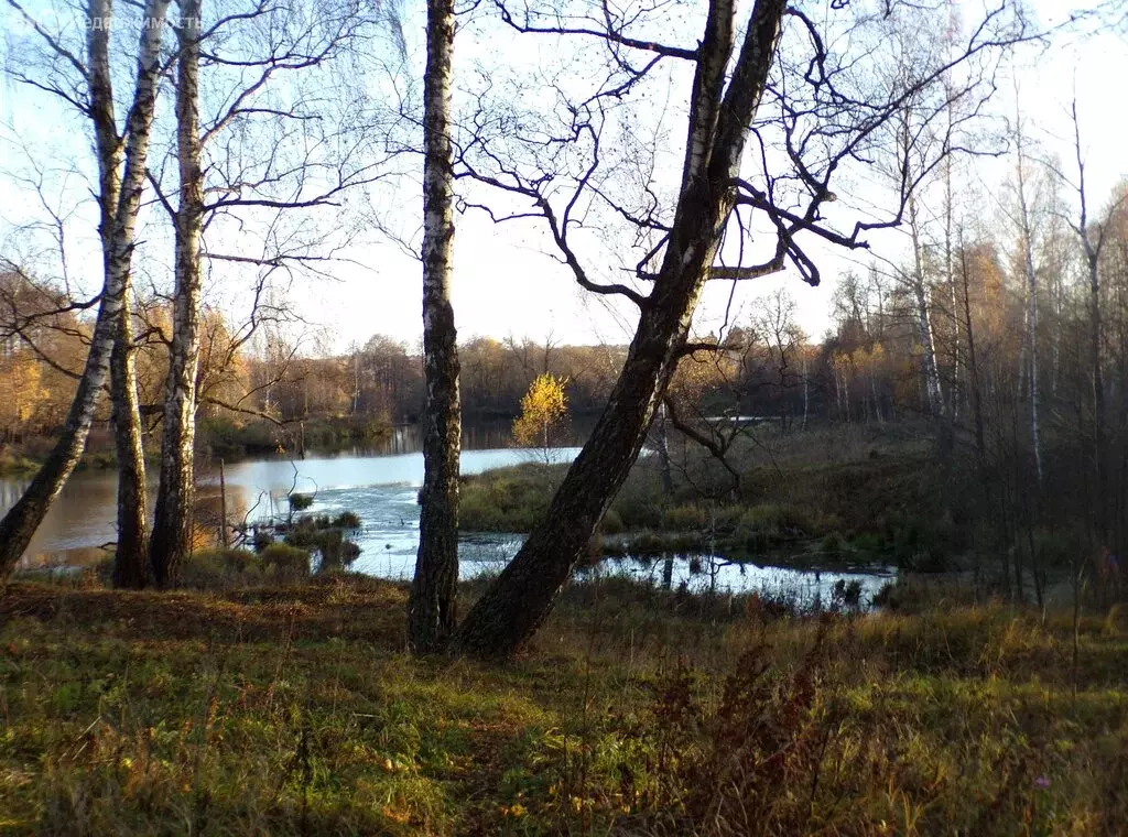 Участок в Московская область, городской округ Ступино, рабочий посёлок ... - Фото 1