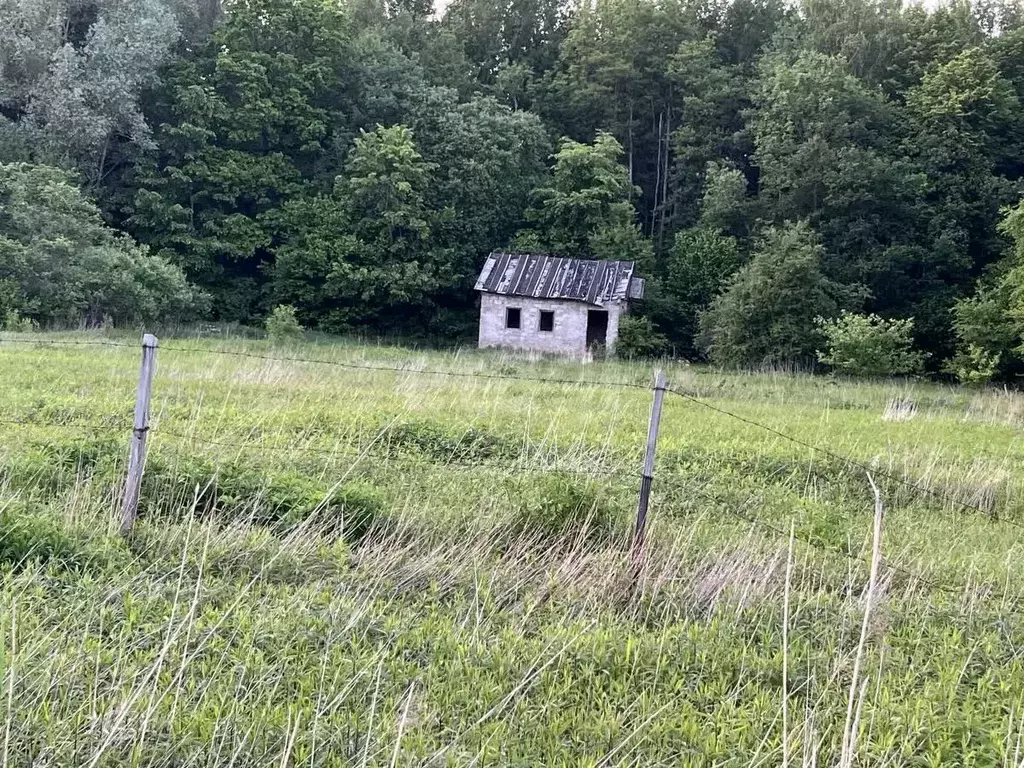 Участок в Калининградская область, Гурьевский муниципальный округ, ... - Фото 1