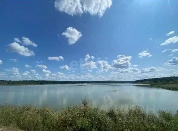 Участок в Московская область, Клин городской округ, Бобры СНТ 451 ... - Фото 1