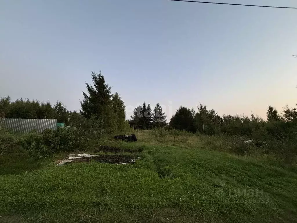 Участок в Коми, Сыктывдинский район, с. Выльгорт, Клен СТ 164 (10.0 ... - Фото 0
