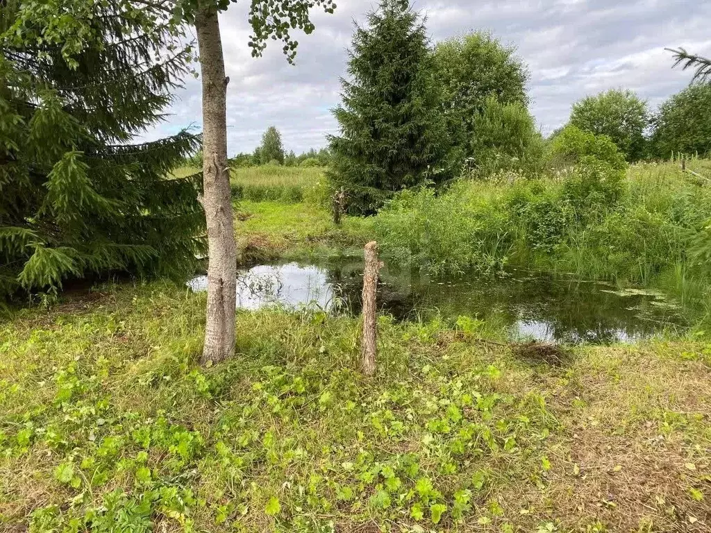 Участок в Вологодская область, Череповецкий район, д. Хлебаево ... - Фото 1