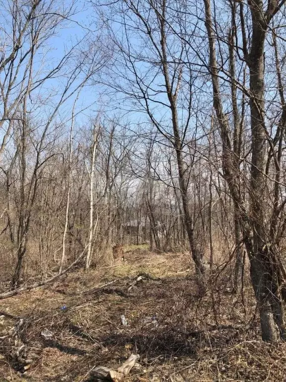 Участок в Приморский край, Владивостокский городской округ, пос. ... - Фото 1