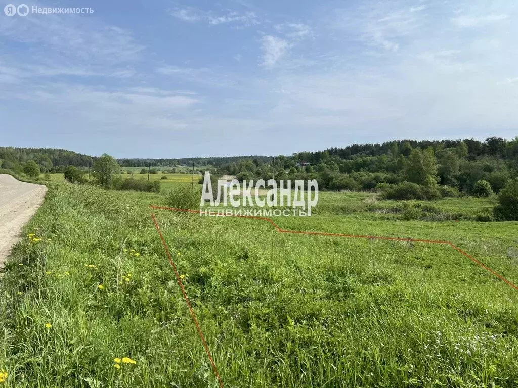 Участок в Республика Карелия, Лахденпохский муниципальный округ, ... - Фото 2