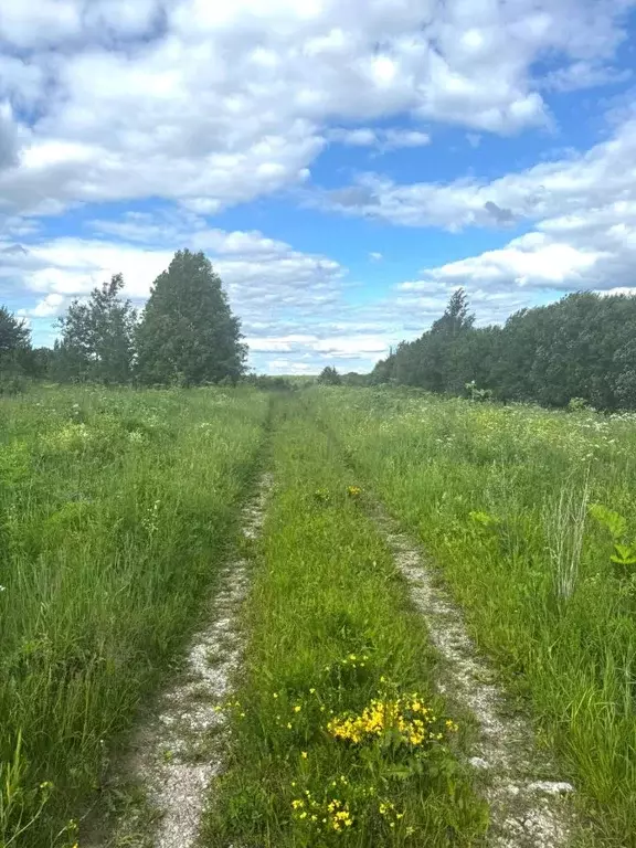 Участок в Кировская область, Слободской район, Ленинское с/пос, д. ... - Фото 2