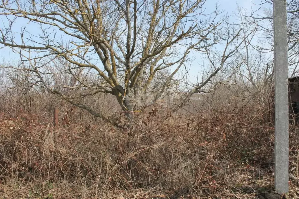 Участок в Ставропольский край, Ставрополь Зорька садовое товарищество, ... - Фото 1