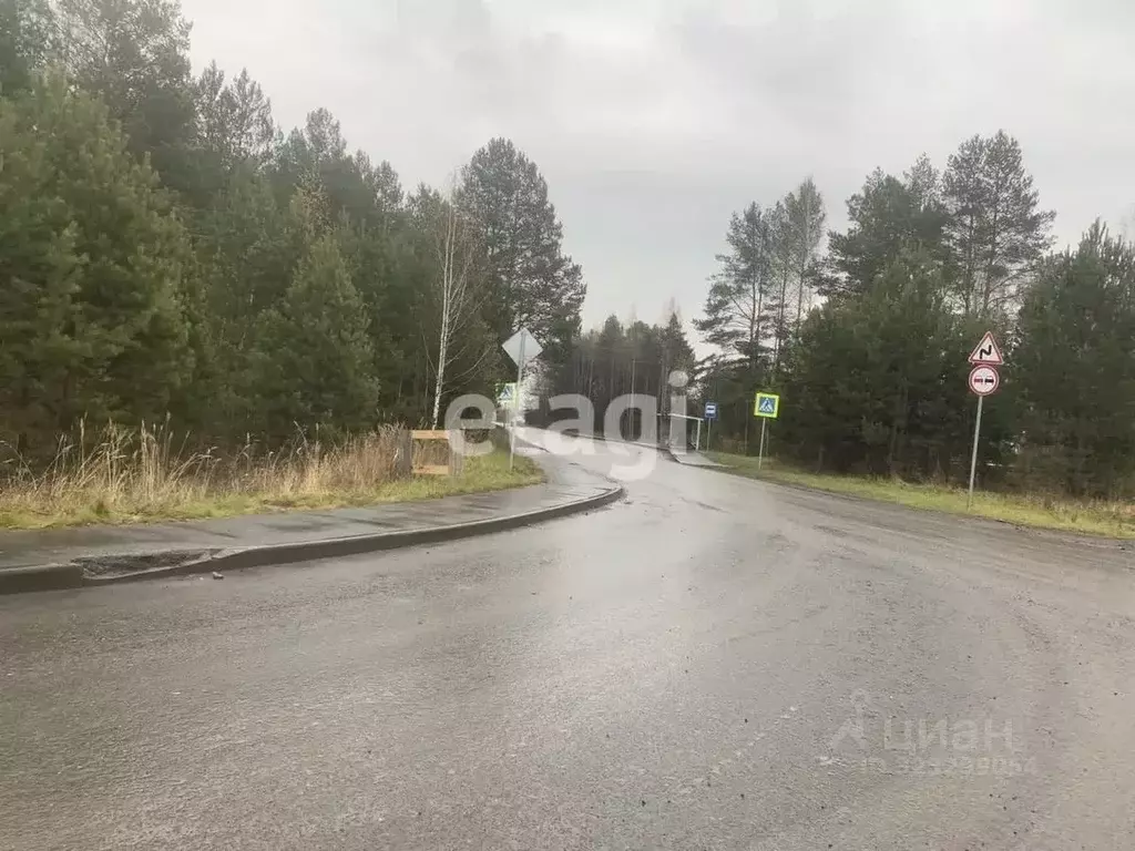 Участок в Тюменская область, Тюмень Ясень садовое товарищество, ул. ... - Фото 1