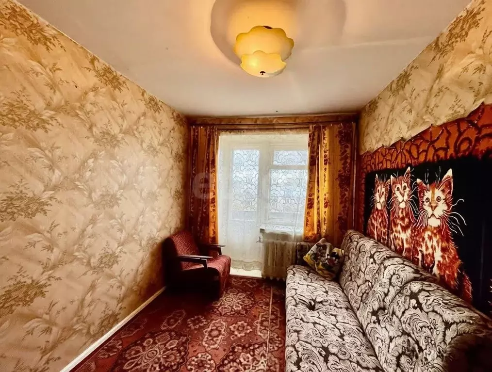 3-к кв. Владимирская область, Петушки Трудовая ул., 4 (65.9 м) - Фото 2