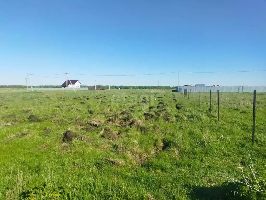 Участок в Курганская область, Кетовский муниципальный округ, с. ... - Фото 1