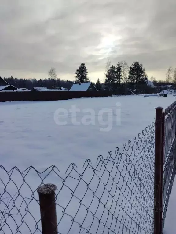 Участок в Ленинградская область, Всеволожский район, Романовское ... - Фото 2