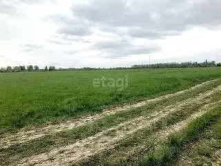Участок в Ярославская область, Некрасовский муниципальный округ, ... - Фото 0