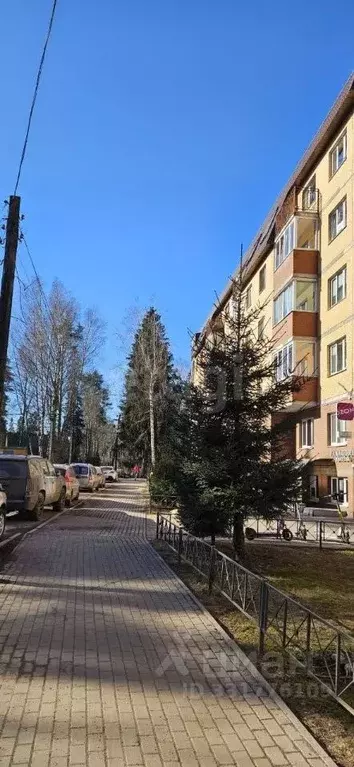 Помещение свободного назначения в Ленинградская область, Всеволожск ... - Фото 1