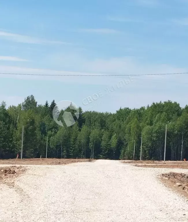Участок в Пермский край, Добрянский муниципальный округ, с. Красная ... - Фото 2