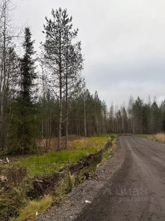 Участок в Ленинградская область, Всеволожск Щегловское Раздолье кп,  ... - Фото 0