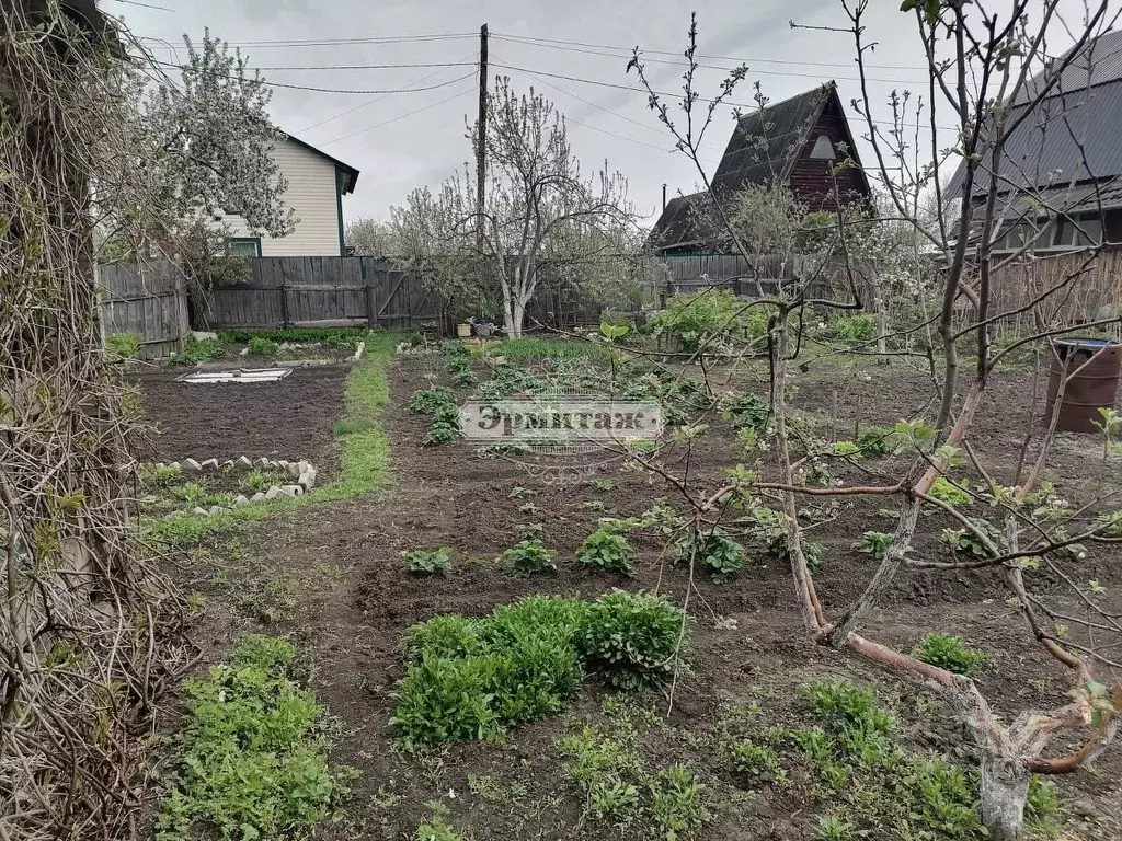 Участок в Курганская область, Курган Светлый СНТ,  (5.1 сот.) - Фото 1