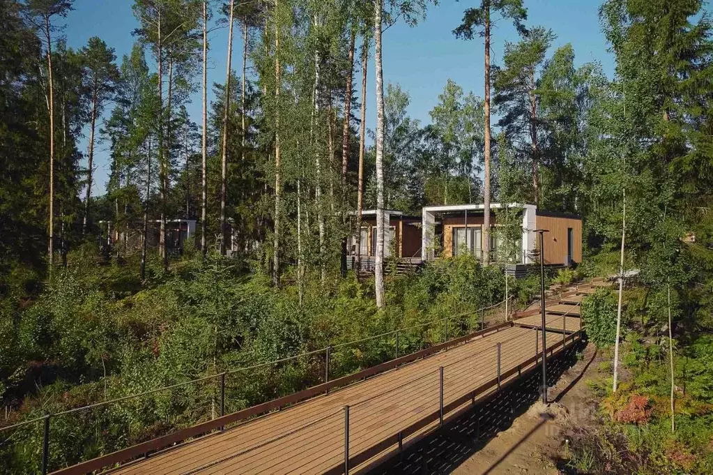 Дом в Марий Эл, Медведевский район, Сидоровское с/пос, пос. Шап  (36 ... - Фото 2