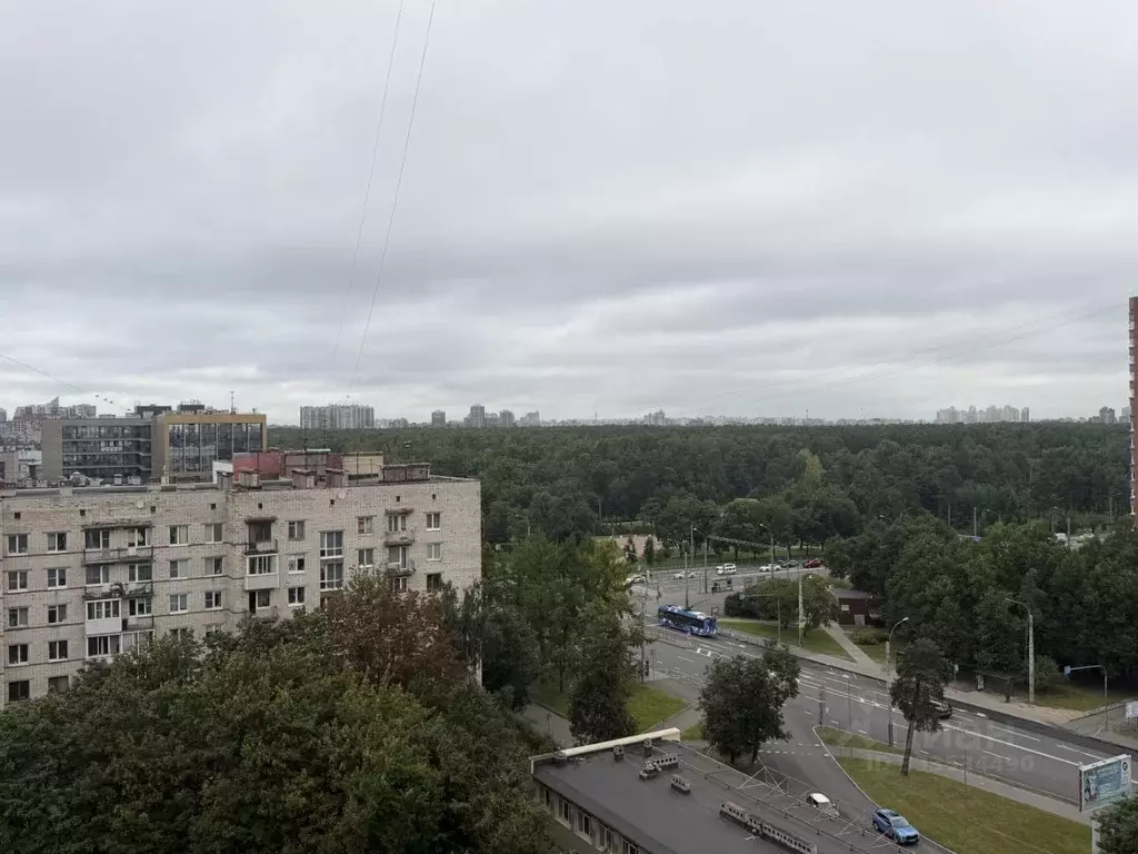 1-к кв. Санкт-Петербург просп. Тореза, 44к2 (42.0 м) - Фото 2