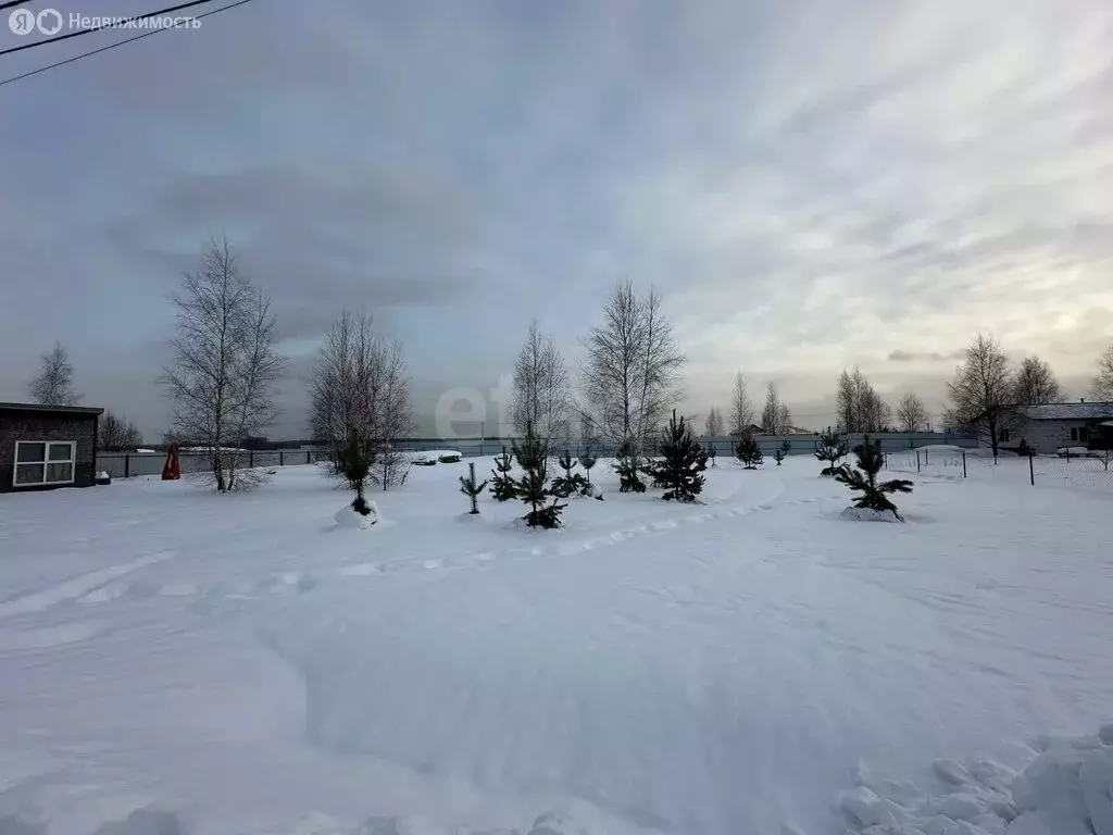 Участок в Московская область, Раменский муниципальный округ, КП ... - Фото 2