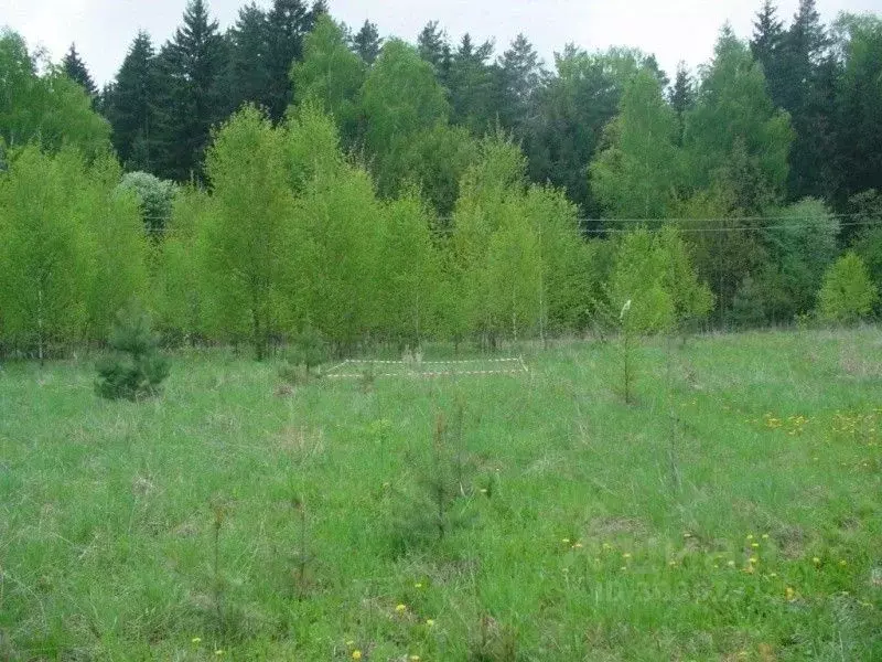 Участок в Татарстан, Зеленодольск Трудовик садовое товарищество,  (5.0 ... - Фото 1