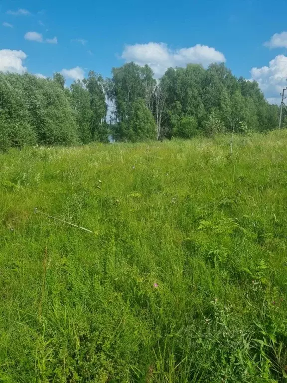 Участок в Московская область, Солнечногорск городской округ, д. ... - Фото 1