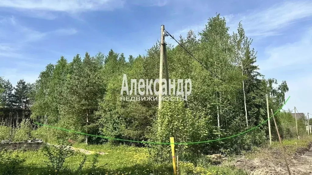 Участок в Ленинградская область, Тосненский район, Рябовское городское ... - Фото 1