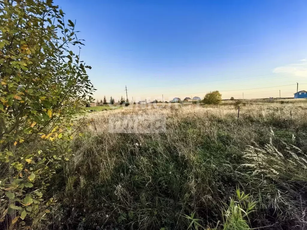 Участок в Владимирская область, Александровский район, Каринское ... - Фото 1