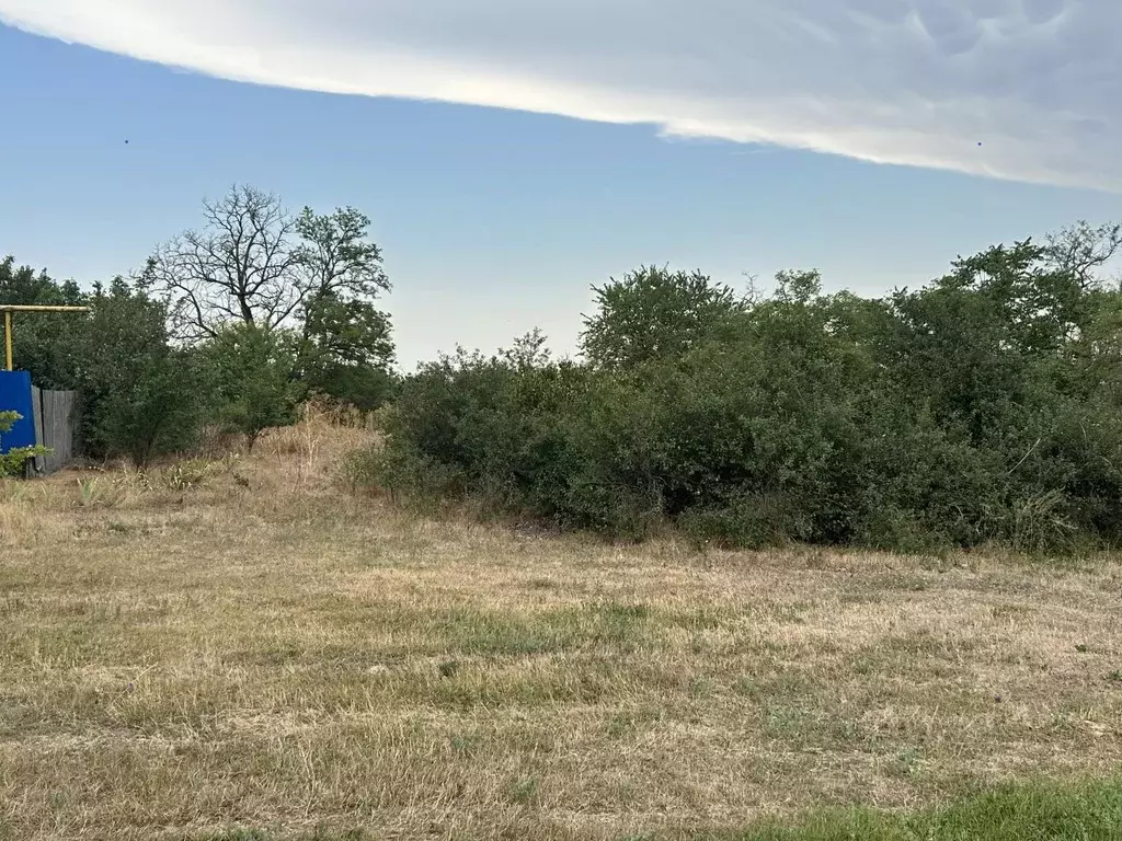 Участок в Краснодарский край, Щербиновский район, с. Николаевка ул. ... - Фото 0
