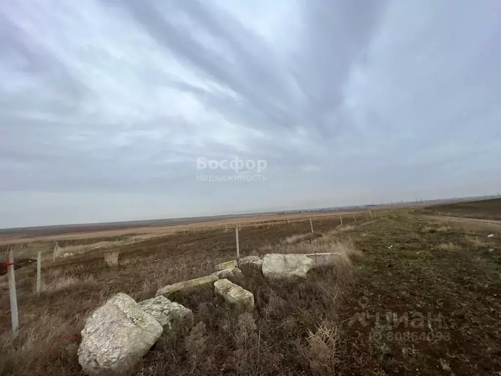 Феодосия ближние камыши. Ближние камыши Феодосия