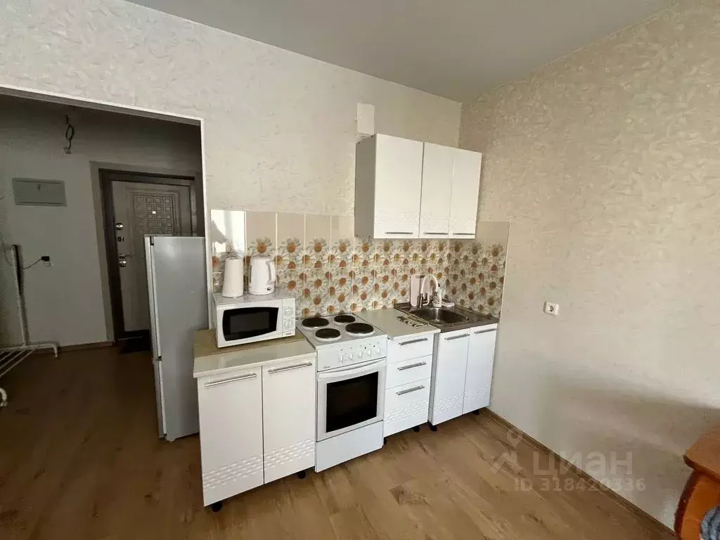 Студия Ленинградская область, Кингисепп ул. Воровского, 50к2 (30.0 м) - Фото 1
