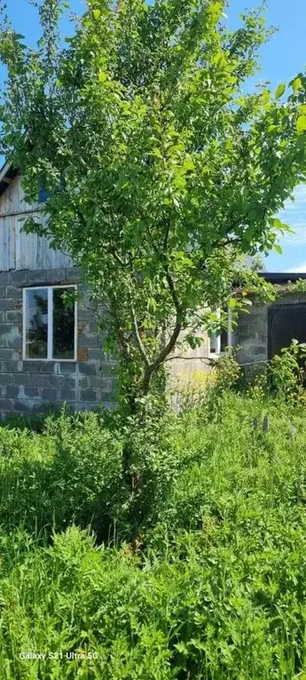 Участок в Калужская область, Ферзиковский муниципальный округ, д. ... - Фото 1