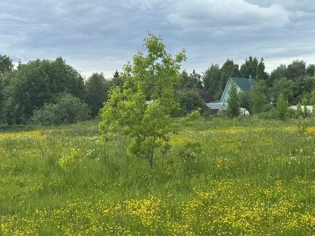 Участок в Московская область, Богородский городской округ, д. Старые ... - Фото 2