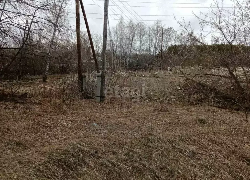 Участок в Курганская область, Шадринск ул. Пушкина (10.0 сот.) - Фото 0