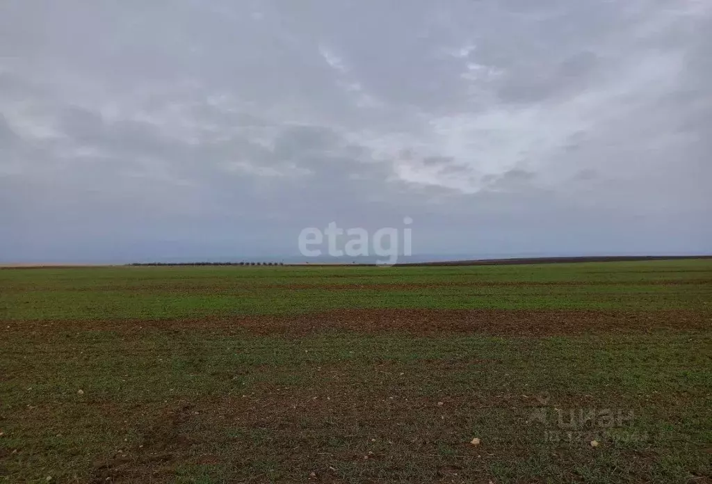 Участок в Крым, Черноморский район, с. Межводное ул. Приморская (8.0 ... - Фото 0