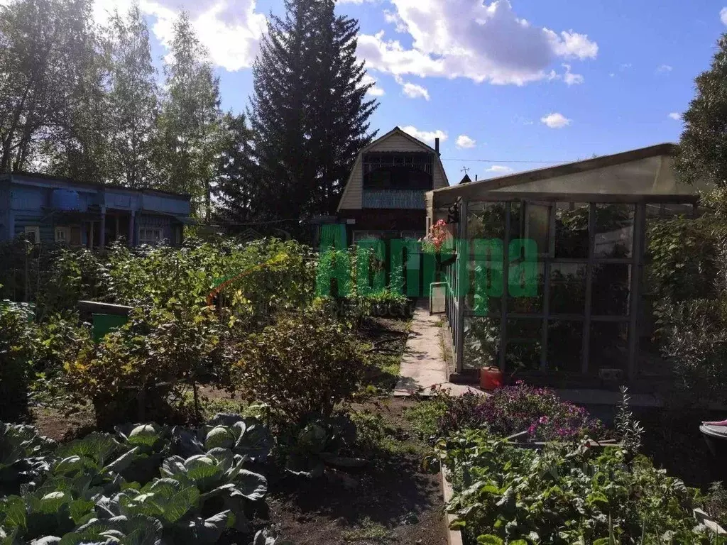 Дом в Забайкальский край, Читинский район, № 55 Автозаводец СТ  (50 м) - Фото 2