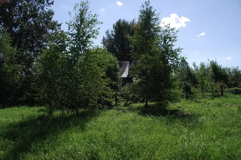 Участок в Тверская область, Торжокский муниципальный округ, Яконовское ... - Фото 1