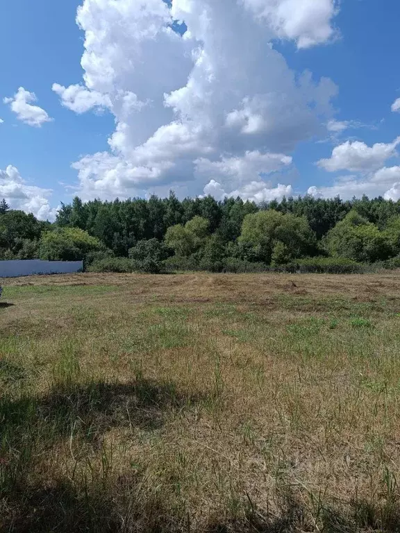 Участок в Липецкая область, Задонский район, Верхнеказаченский ... - Фото 0